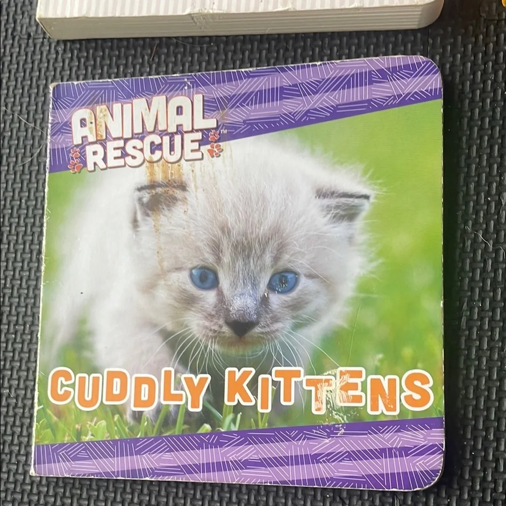 Toddler Board Books Bundle of 12